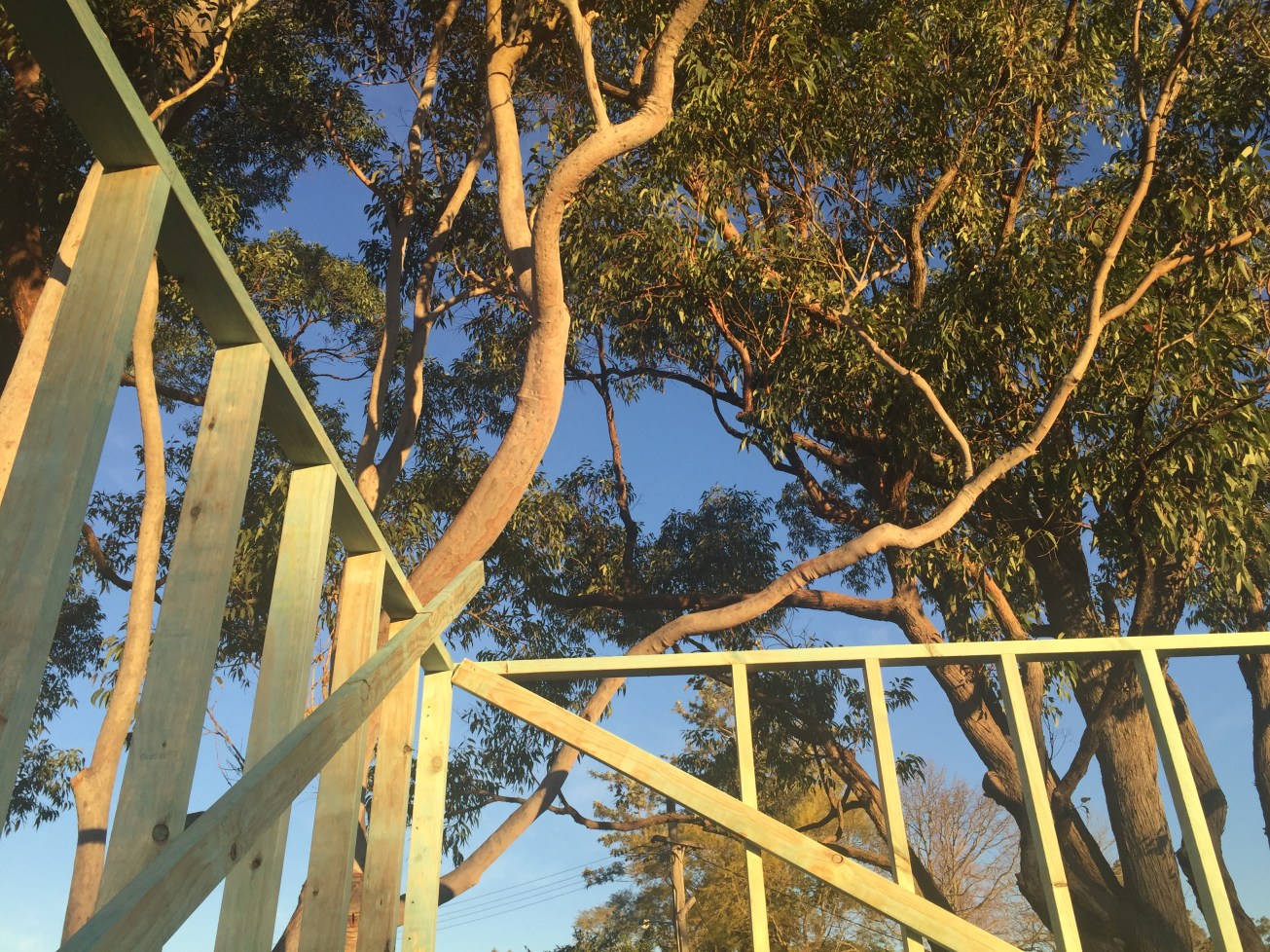 Our beautiful Angophora tree will frame the master bedroom extension. And to think Council was paranoid we'd chop it down - that would be a crime in my view. Most Pettit and Sevitt Display home had the benefit of landscape design which was carried out by Landscape Architect Bruce MacKenzie to ensure the houses sat within the landscape and didn't simply bulldoze them down. As more of the P&S project homes were built, you can see how they have situated the houses to make the most of the natural aspect, slope or trees of the area. Eucalypts like the Angophora are common across Sydney and the two Iron Bark trees on our property are thought to be rare and old examples of the forrest beyond our area which is part of Kur ring gai. We're glad they weren't lost!